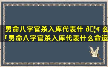 男命八字官杀入库代表什 🦢 么「男命八字官杀入库代表什么命运」